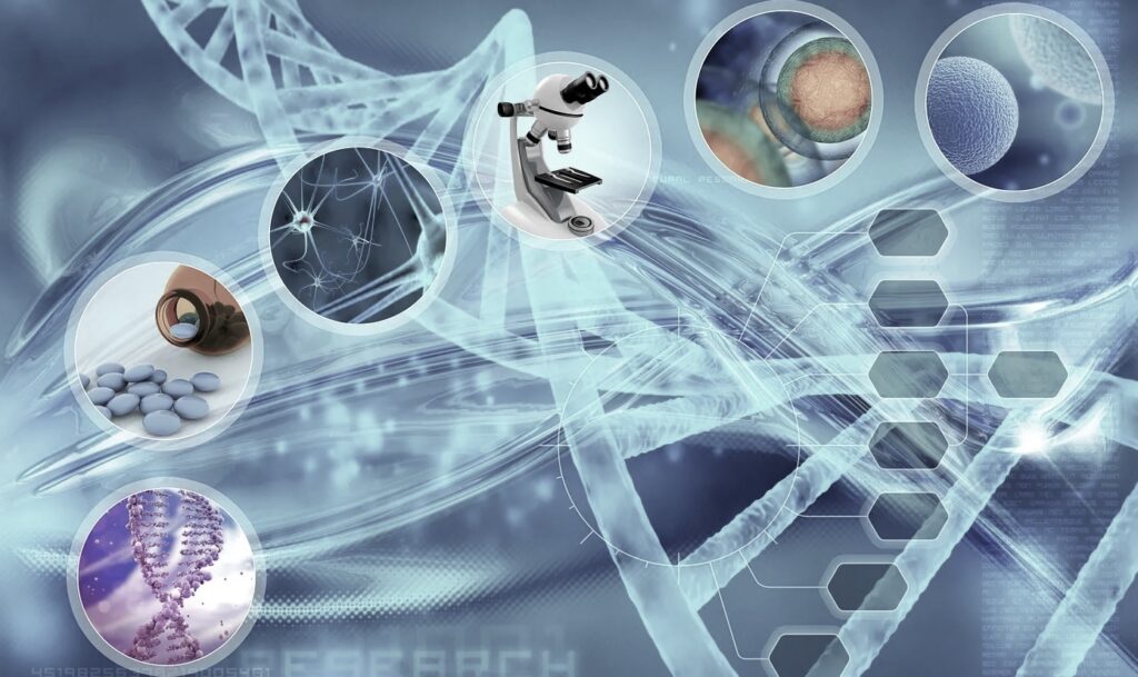 Digital dashboard showing analytics